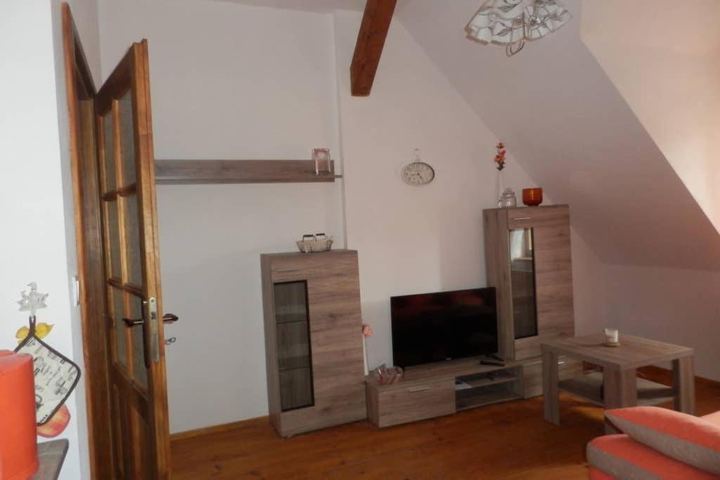 Zámeček Zdíky - Moderní velký apartmán Bujanov Exteriér fotografie