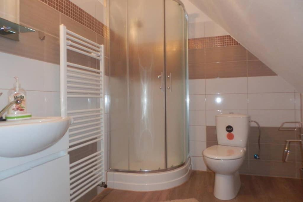 Zámeček Zdíky - Moderní velký apartmán Bujanov Exteriér fotografie